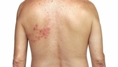 (Bild: plo/stock.adobe.com)