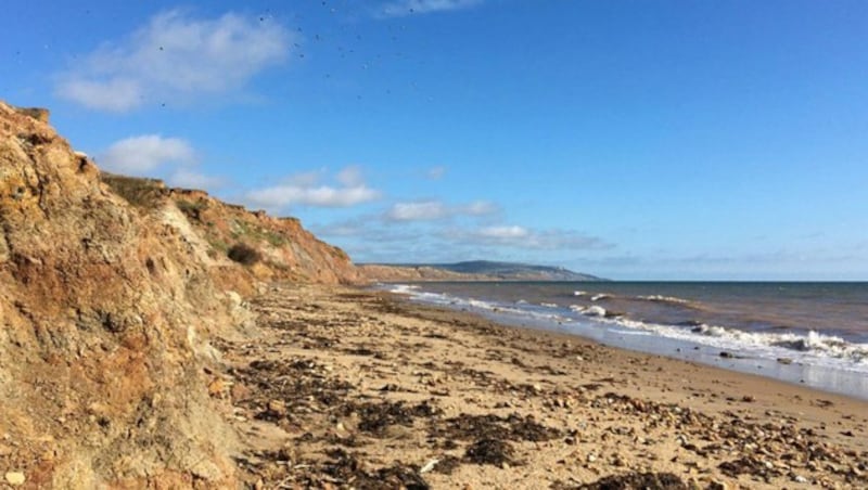 An diesem Strand auf der Isle of Wight wurden die fossilen Überreste der beiden Saurierarten gefunden. (Bild: University of Southampton/Chris Barker)