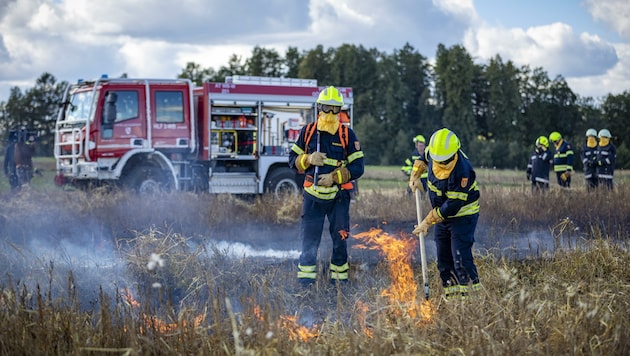 Rund 25-mal im Jahr brennt es aktuell am TÜPL Allentsteig. (Bild: Matthias Fischer)