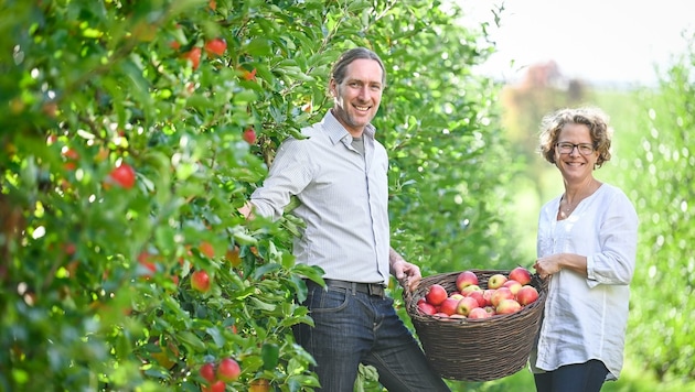 Cornelia und Georg Roithmeier sind mit der Ernte zufrieden (Bild: Alexander Schwarzl)