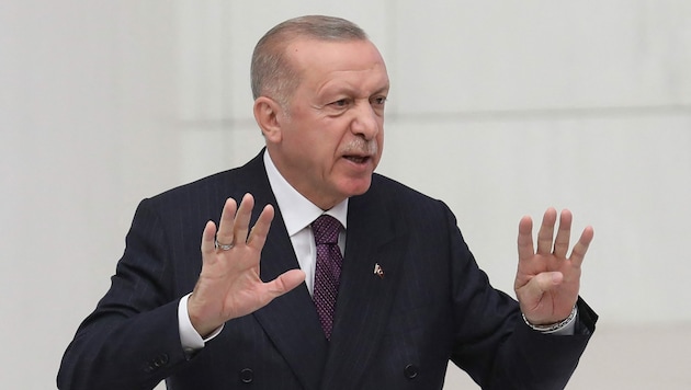 Präsident Erdogan sind Auftritte von PKK-Anhängern in Schweden und Finnland ein Dorn im Auge. (Bild: APA/AFP/Adem ALTAN)