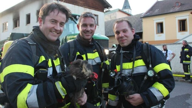 Beim Wohnhausbrand wurden die Einsatzkräfte für ein Meerschweinchen zu Lebensrettern (Bild: Markus Hackl)