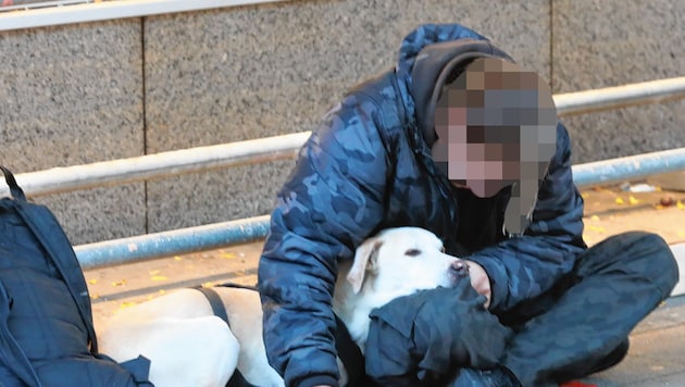 Bettler mit Hund auf der Mariahilfer Straße (Bild: Zwefo, Krone KREATIV)