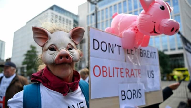 In Manchester demonstrierten Schweinebauern gegen die Auswirkungen des Brexits, der sie nun zwingt, ihre Tiere grundlos zu töten. (Bild: AFP)