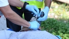 Die Intubation soll Patienten retten. In dem Fall in Kärnten ging es schief. (Bild: P. Huber)