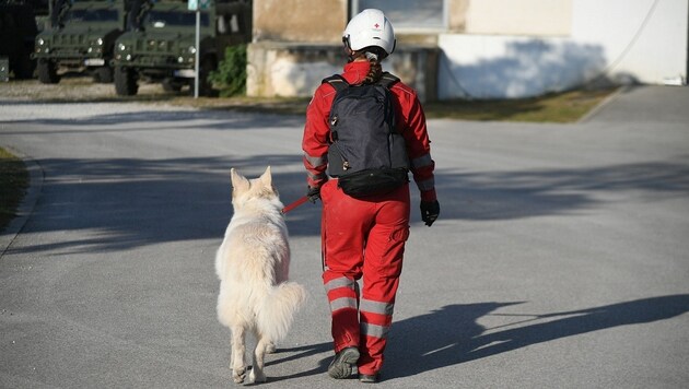 Die gesamte Rot-Kreuz-Suchhundestaffel ist ebenfalls in Linz im Einsatz (Symbolbild) (Bild: P. Huber)