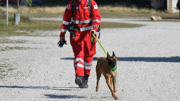 Auch die Suchhundestaffel des Roten Kreuzes suchte nach der Vermissten (Symbolbild). (Bild: P. Huber)
