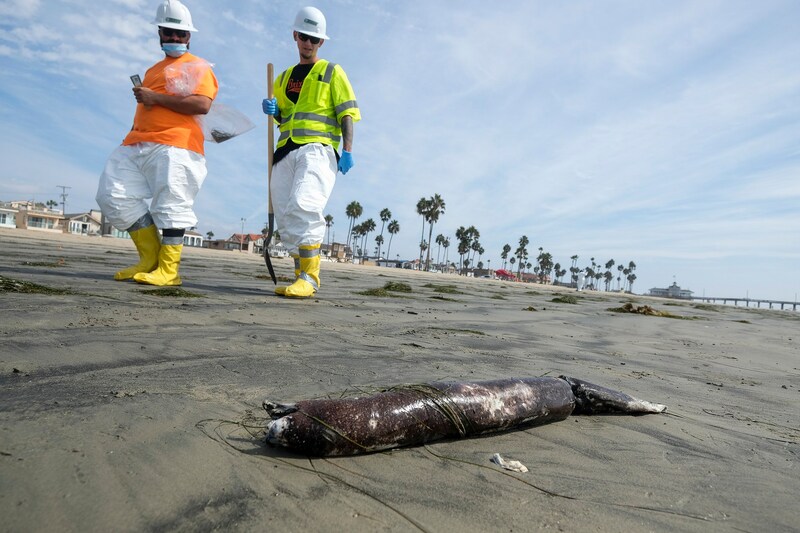 (Bild: AP Photo/Ringo H.W. Chiu)