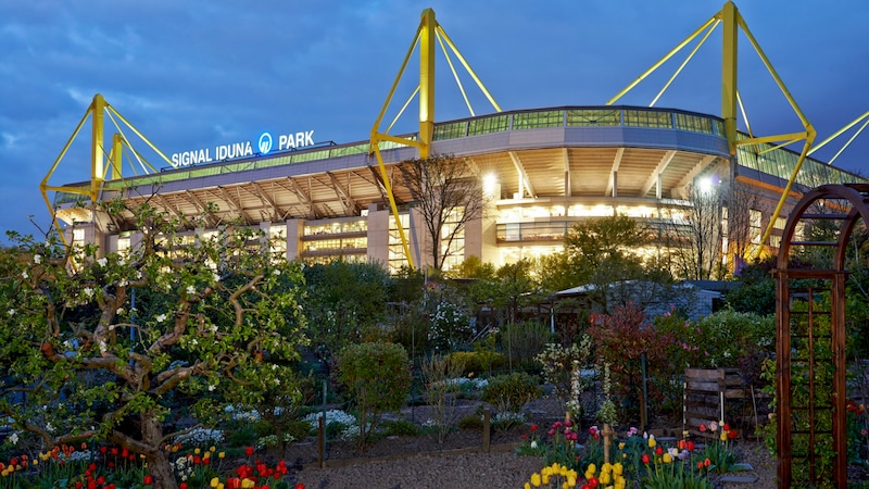 BVB Stadion Dortmund (Bild: Thomas Pflaum / Visum / picturedesk.com)
