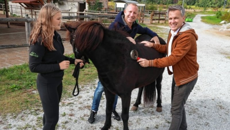 Zweimal pro Woche geht’s ab aufs Land. (Bild: Zwefo)