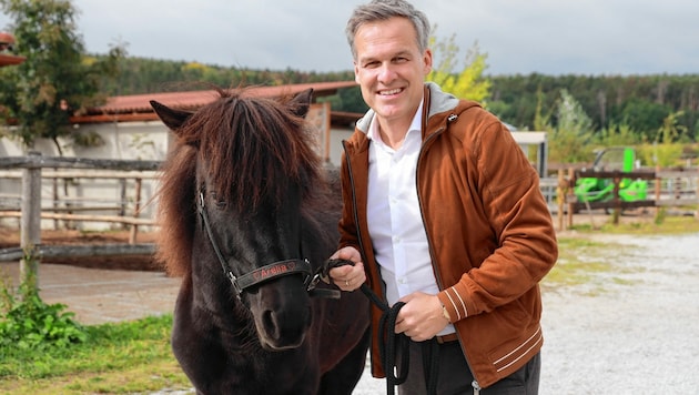 Keine Angst vor großen - und kleinen - Tieren: Tarek Leitner auf dem Islandpferdehof in Lengenfeld (NÖ). (Bild: Zwefo)