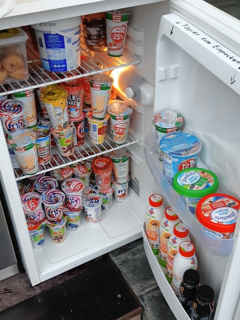 In Wien gibt es 27 öffentliche Kühlschränke. (Bild: zVg)