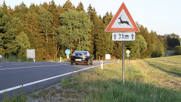 In Österreich kommt es jährlich zu rund 80.000 Wildunfällen, jeder fünfte passiert in Oberösterreich. (Bild: OÖ. Landesjagdverband)