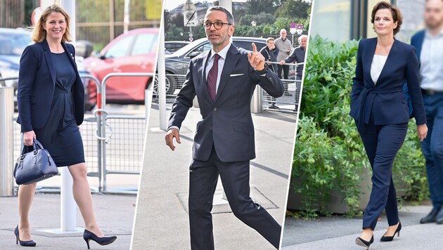 Schlüsselfiguren der Opposition: NEOS-Chefin Beate Meinl-Reisinger, FPÖ-Klubchef Herbert Kickl, SPÖ-Vorsitzende Pamela Rendi-Wagner auf dem Weg zum Bundespräsidenten. (Bild: www.picturedesk.com, Krone KREATIV)