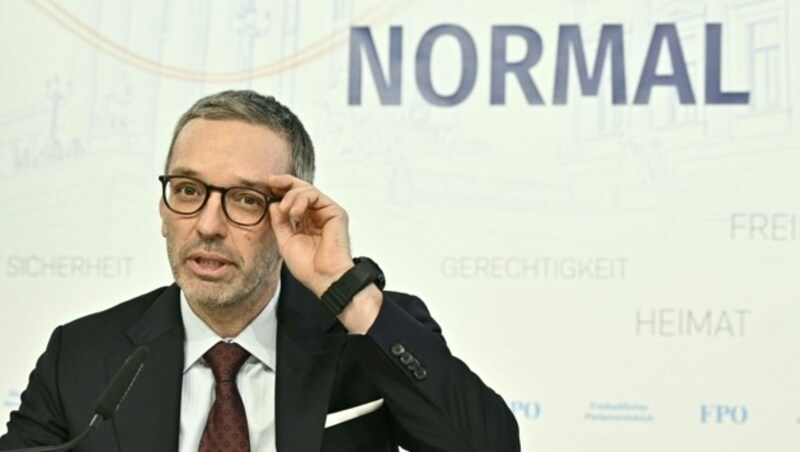 Herbert Kickl (Bild: APA/HANS PUNZ)