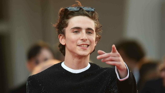 Timothée Chalamet (Bild: www.photopress.at)