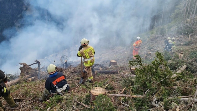 Waldbrand auf 1800 Meter Seehöhe in Moos ob St. Veit im Defereggental (Osttirol), am 10. Oktober gegen 15 Uhr ausgebrochen, Ursache unklar (Bild: zVg/FF St. Veit im Defereggental)