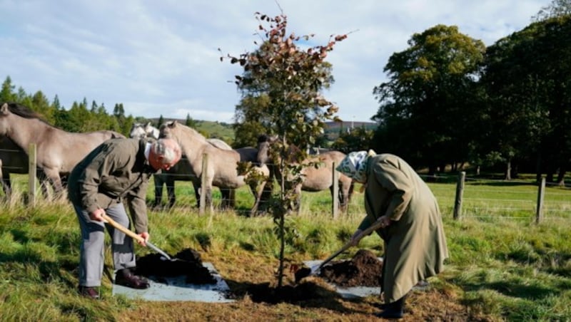 Prinz Charles und Queen Elizabeth pflanzen in Balmoral einen Baum (Bild: APA/Andrew Milligan/PA via AP)