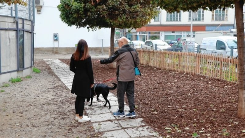 2., Manes-Sperber-Park: Ein Hundehalter findet für die Trostlosigkeit scharfe Worte. (Bild: Zwefo)