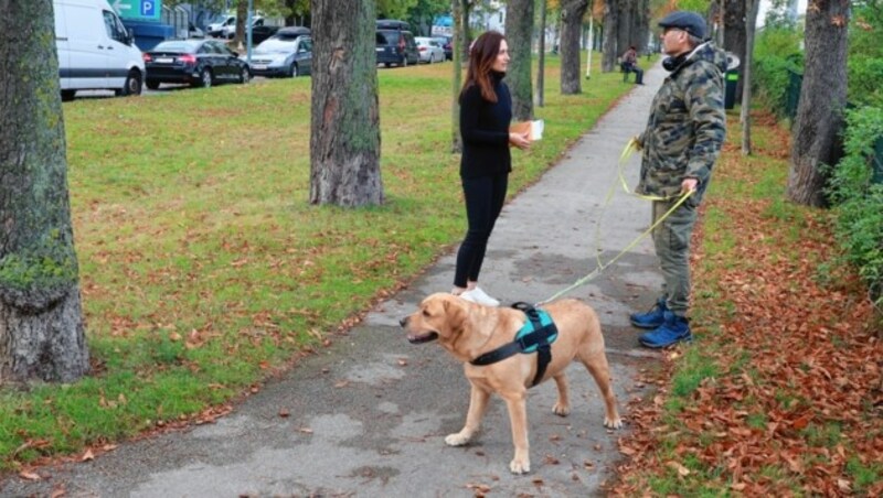 12., Breitenfurterstraße: Besonders gefährlich der Hundeauslauf in 1120 Wien bei der Breitenfurterstraße (Höhe Nr. 43): Grünstreifen, keine Einzäunung, direkt neben der stark befahrenen Straße. „Hier haben sich schon etliche Autofahrer eingebremst, weil ein Hund über die Fahrbahn lief“, so ein besorgter Hundefreund. (Bild: Zwefo)