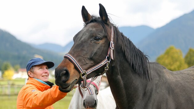 „Mädi“ ist nun mit anderen Pferden in der Obhut von Ingrid Schätzle. (Bild: Österreichischer Tierschutzverein)