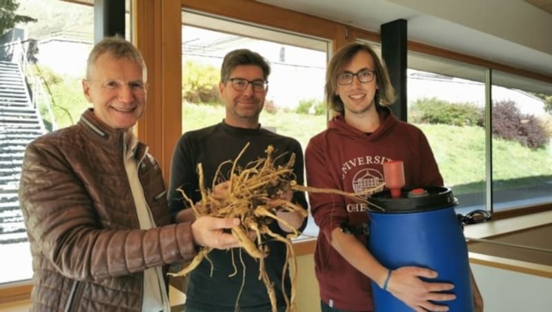 2021: Wendelin Juen von der Landwirtschaftskammer, Brenner Hermann Lorenz und Jens Bohn von der Universität Hohenheim (von links) mit der ersten Ernte. (Bild: LK Tirol/Singer)