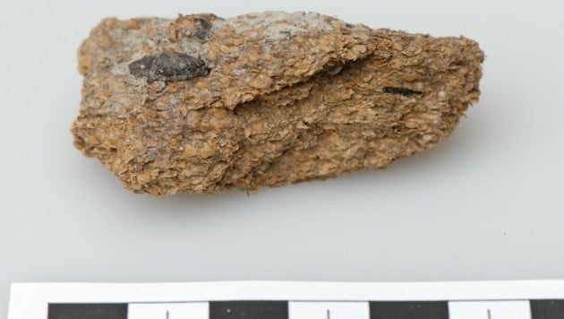 2600 Jahre altes menschliches Exkrement aus den eisenzeitlichen Salzbergwerken von Hallstatt mit Bohnen, Hirse- und Gerstenkörnern. (Bild: APA/NHM WIEN/Anwora)