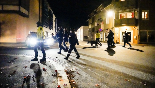 Die Polizei ist mit einem Großaufgebot im Einsatz. (Bild: AP/NTB/Håkon Mosvold Larsen)