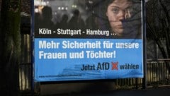 Ein Wahlplakat der Alternative für Deutschland (AfD) im Jahr 2016 (Bild: APA/dpa/Daniel Maurer)