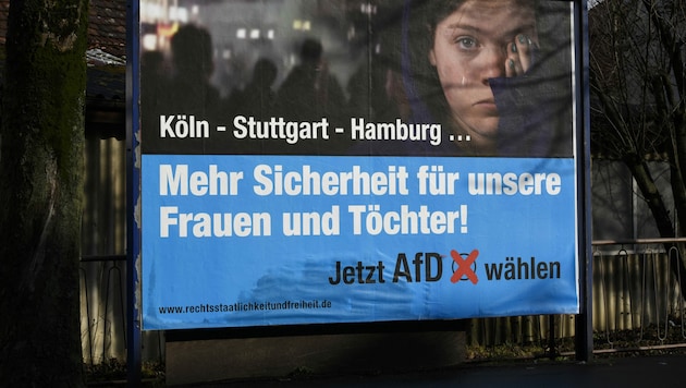 Ein Wahlplakat der Alternative für Deutschland (AfD) im Jahr 2016 (Bild: APA/dpa/Daniel Maurer)