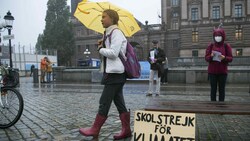 Thunberg erlangte mit ihrem Schulstreik fürs Klima Berühmtheit. (Bild: FREDRIK SANDBERG)