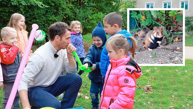 Neugierige flauschige Kindergarten-Mitbewohner zeigten sich beim Medientermin mit Felix Neureuther. (Bild: Krone KREATIV, zwefo)