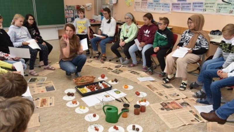 Worauf sollte man beim Anbau achten? Diese und andere Fragen beantwortete Biologin Vogl-Lukasser anhand praktischer Beispiele. (Bild: MS Egger-Lienz)