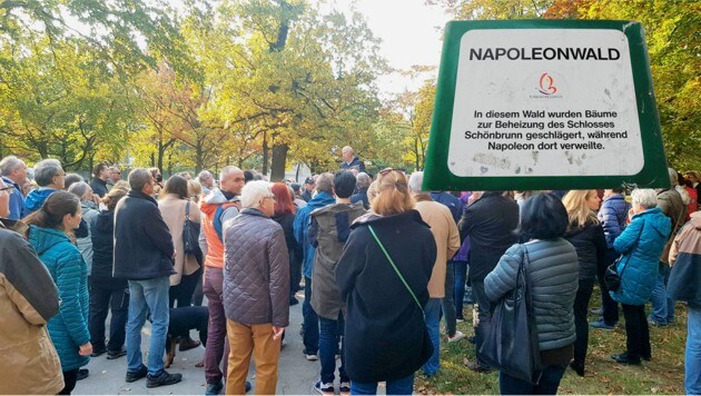 Spontaner Bürgerprotest im Napoeleonwald (Bild: zVg, Peter Tomschi,Krone KREATIV)