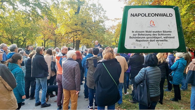 Spontaner Bürgerprotest im Napoeleonwald (Bild: zVg, Peter Tomschi,Krone KREATIV)