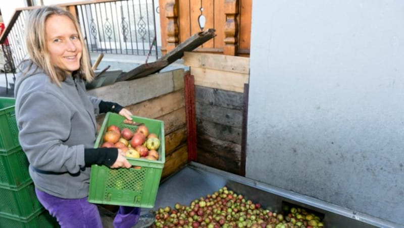 Eine Kundin schüttet die frisch geernteten Äpfel in die Rätzmühle. Anschließend wird das Obst zu Maische gemahlen und gepresst. Das Endprodukt ist dann köstlicher Süßmost. (Bild: Mathis Fotografie)