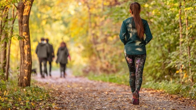 Besonders zum Wandern eignet sich das milde Wetter in den kommenden Tagen.  (Bild: Maridav/stock.adobe.com)