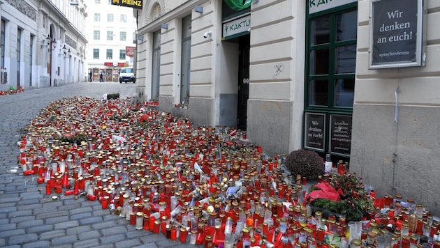 Die Taten ihres Sohnes erschütterten ganz Österreich. (Bild: ROLAND SCHLAGER / APA / picturedesk.com)