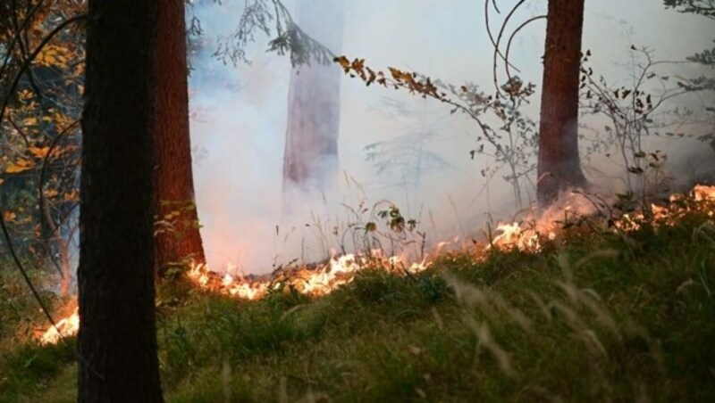 (Bild: APA/EINSATZDOKU.AT/PATRIK LECHNER)