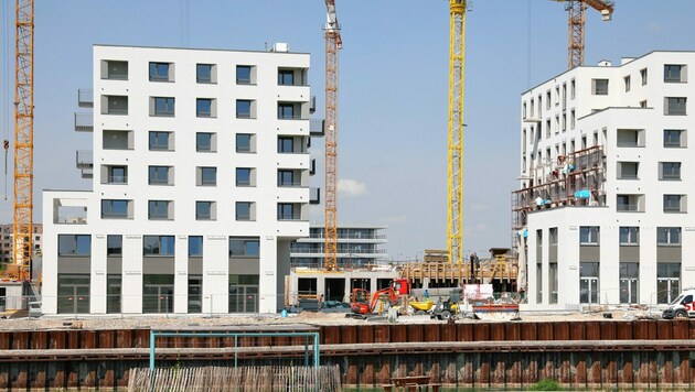 Mega-Baustelle Seestadt Aspern (Bild: Martin Jöchl)