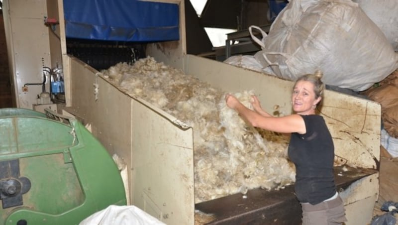 Im Umhausener Schafwollzentrum werden viele Arbeitsschritte noch manuell erledigt, so wie hier die Sortierung durch Elvira Schmid. (Bild: Daum Hubert)