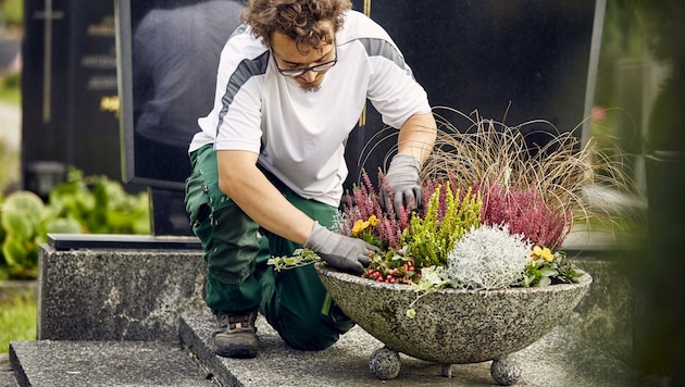 Gärtner und Floristen helfen bei der Grabdekoration. (Bild: C&G Pictures)