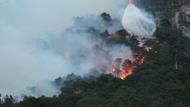 Die Wiederaufforstung nach dem verheerenden Brand wird viele Jahre dauern. (Bild: Presseteam der FF Wr. Neustadt)