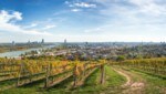 Viena es la única ciudad con una población de más de un millón que tiene cultivo de vino en su propia área urbana.  (Imagen: ©Markus - stock.adobe.com)