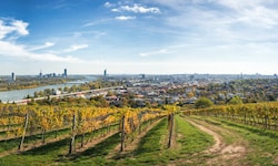 Wien ist die einzige Millionenstadt mit Weinbau auf dem eigenen Stadtgebiet.