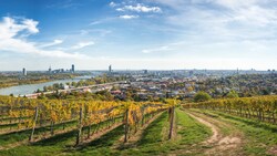 Wien ist die einzige Millionenstadt mit Weinbau auf dem eigenen Stadtgebiet.