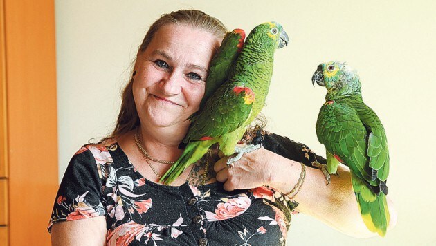 Bei Papagei-Liebhaberin Petra Kämpke fand „Rocky“ Anschluss zu seinen Artgenossen und blüht dort richtig auf! (Bild: Daniel Scharinger)