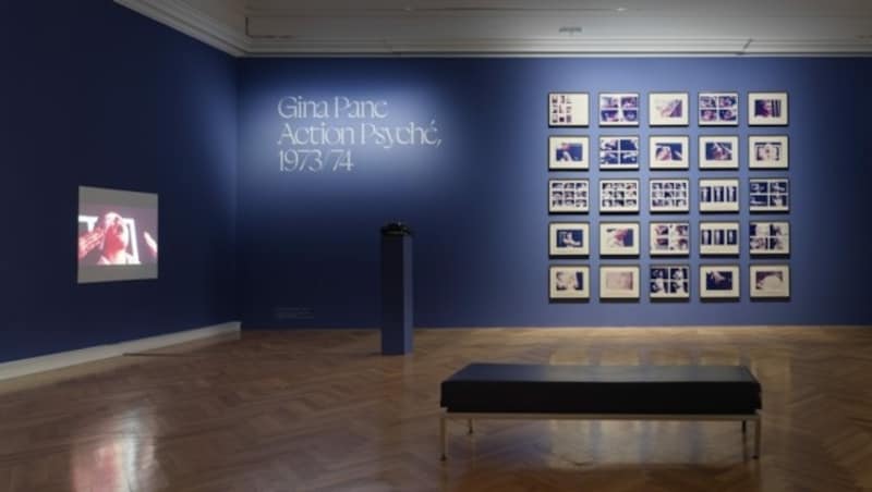 Gina-Pane-Ausstellung im FC. (Bild: Michael Maritsch)