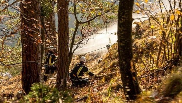 (Bild: Feuerwehr Landscha)