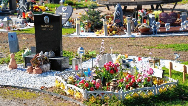 Jedes Grab ist liebevoll geschmückt und ist ein Ort des liebevollen Gedenkens. (Bild: Zwefo)